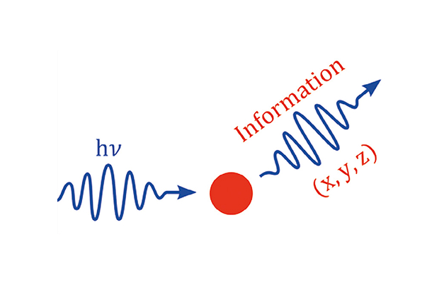 Fisher Information Bounds thumbnail